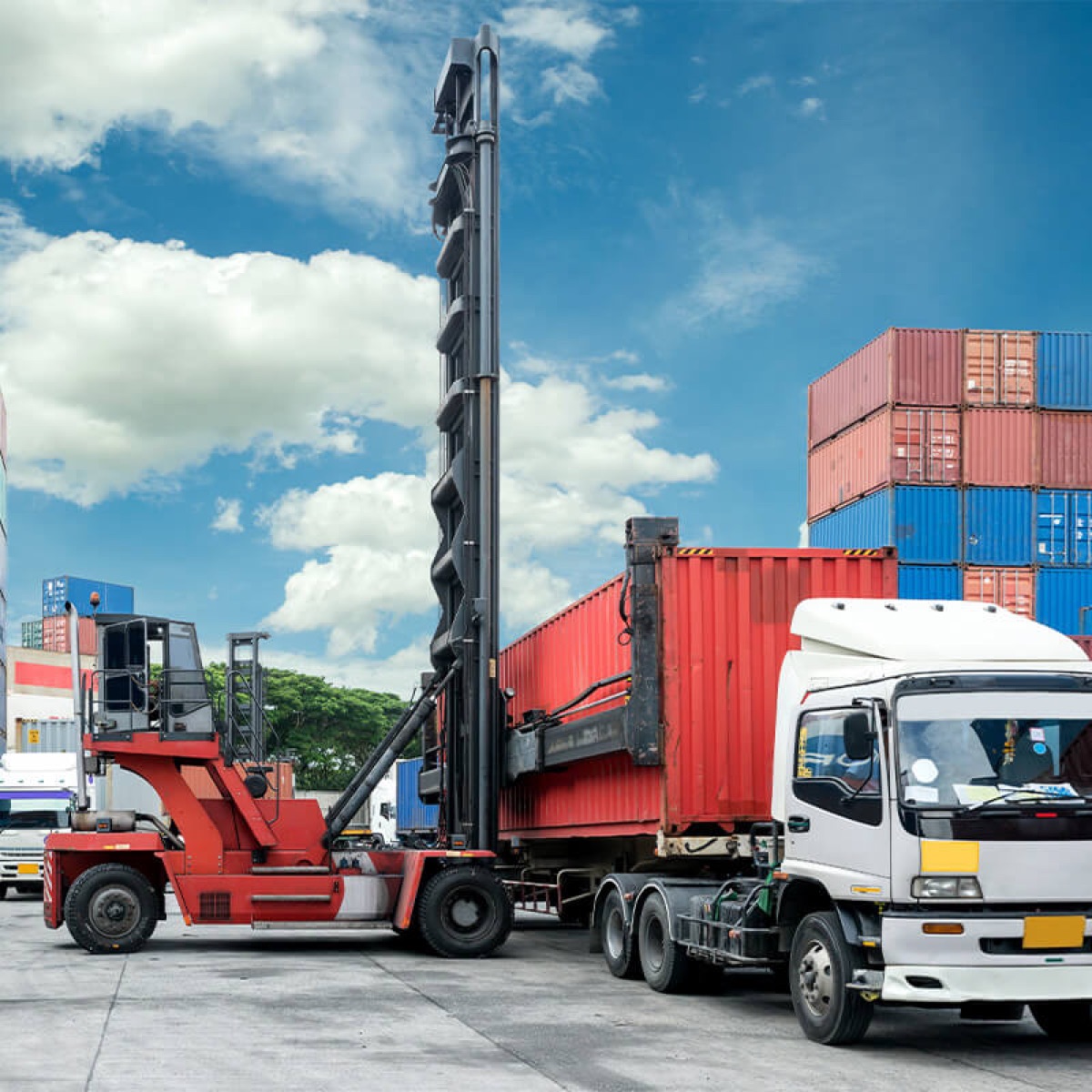 My Car Importer logistics in action